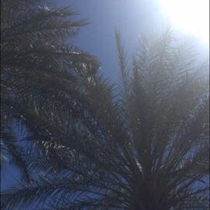 Meet your Posher, Carly